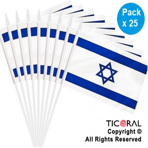 BANDERA PLASTICA ISRAEL 15X25CM x 25